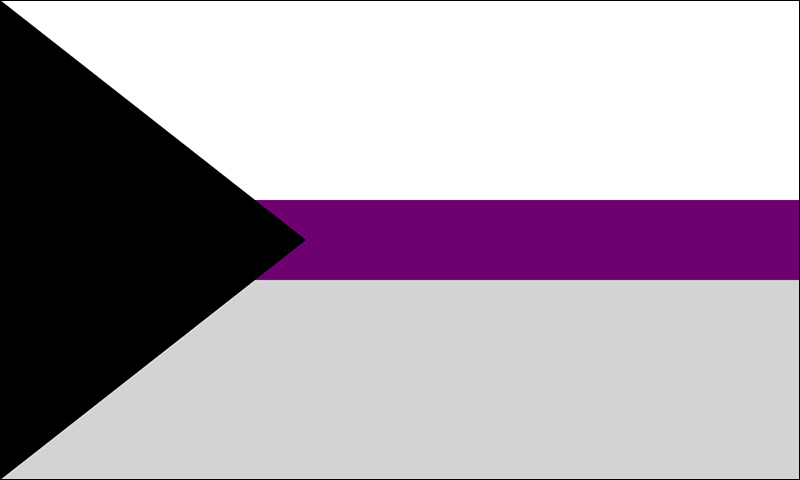 Demisexual Flags – Pride Products By The Flag Shop