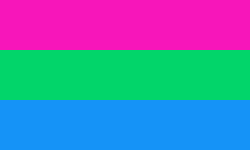 Polysexual Flags Pride Products By The Flag Shop 