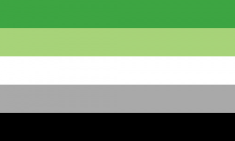 Aromantic Flags Pride Products By The Flag Shop 4638