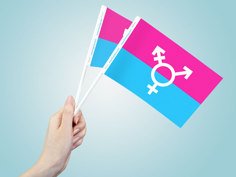 Canada transgender-paperflags