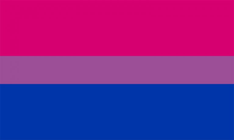 Bisexual Flags – Pride Products by The Flag Shop