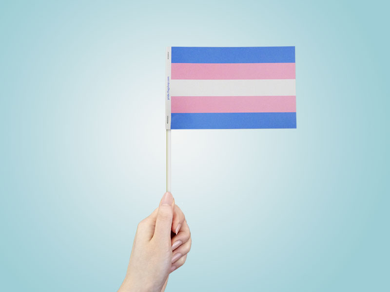 Transgender Paper Stick Flags